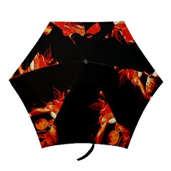 Robert And The Lion Mini Folding Umbrellas