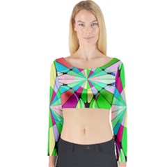 Distorted Flower Long Sleeve Crop Top