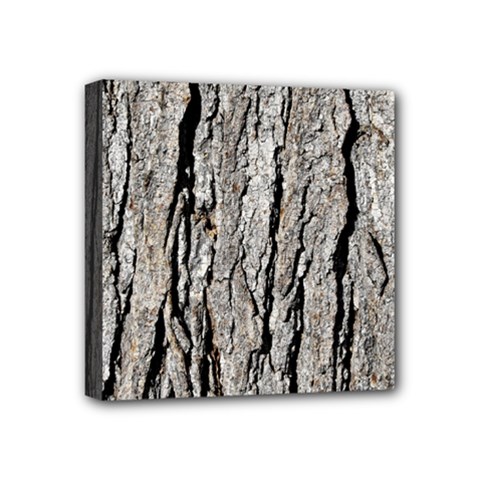 Tree Bark Mini Canvas 4  X 4  by trendistuff