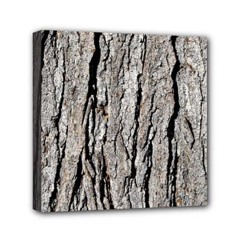 Tree Bark Mini Canvas 6  X 6  by trendistuff