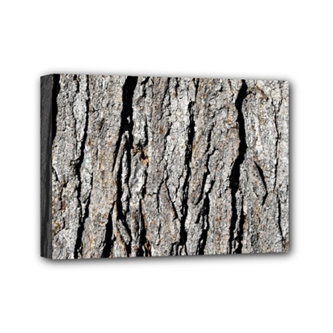 Tree Bark Mini Canvas 7  X 5  by trendistuff