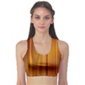 SHINY STRIATED PANEL Sports Bra View1