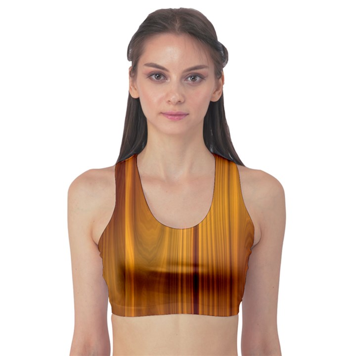 SHINY STRIATED PANEL Sports Bra