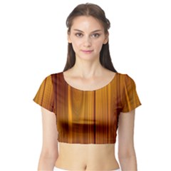 Shiny Striated Panel Short Sleeve Crop Top