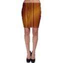 SHINY STRIATED PANEL Bodycon Skirts View1