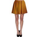 SHINY STRIATED PANEL Skater Skirts View1