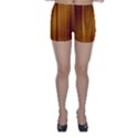 SHINY STRIATED PANEL Skinny Shorts View1