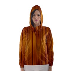 Shiny Striated Panel Hooded Wind Breaker (women) by trendistuff