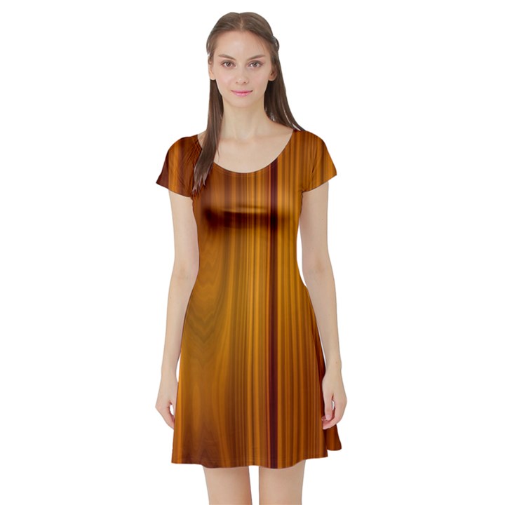 SHINY STRIATED PANEL Short Sleeve Skater Dresses