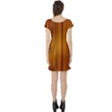 SHINY STRIATED PANEL Short Sleeve Skater Dresses View2