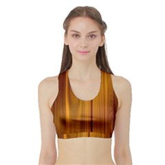 Women s Sports Bra With Border