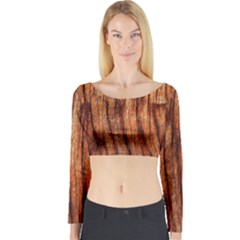 Old Brown Weathered Wood Long Sleeve Crop Top