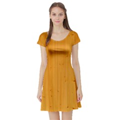 Honey Maple Short Sleeve Skater Dresses by trendistuff