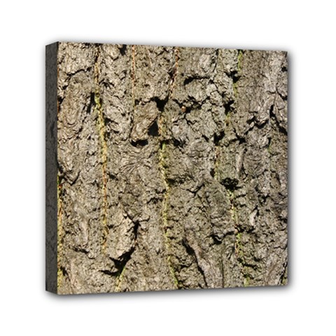 Grey Tree Bark Mini Canvas 6  X 6  by trendistuff