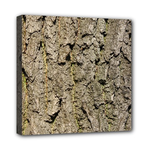 Grey Tree Bark Mini Canvas 8  X 8  by trendistuff