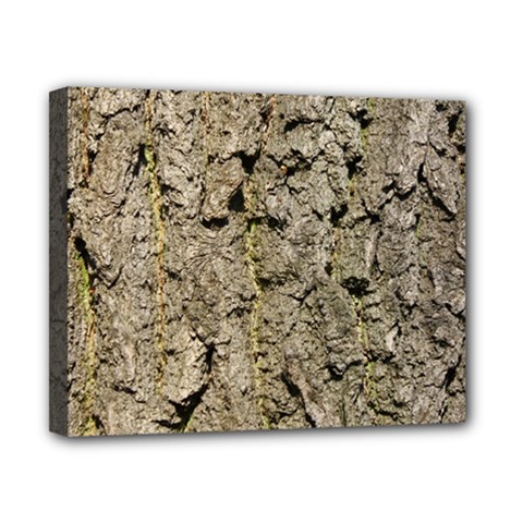 Grey Tree Bark Canvas 10  X 8 