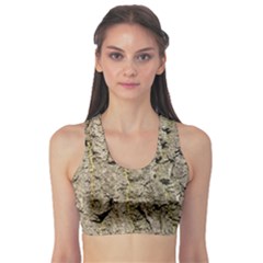 Grey Tree Bark Sports Bra by trendistuff