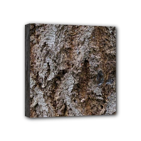 Douglas Fir Bark Mini Canvas 4  X 4  by trendistuff