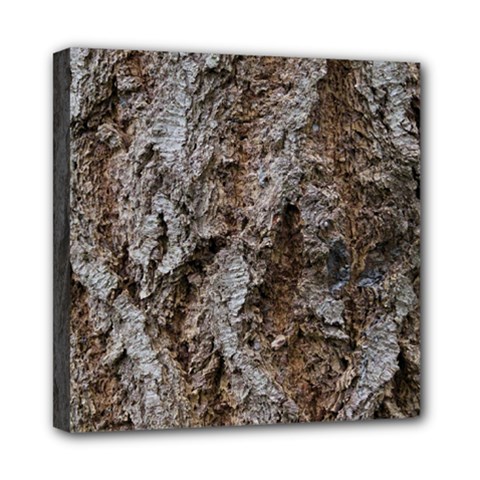 Douglas Fir Bark Mini Canvas 8  X 8  by trendistuff