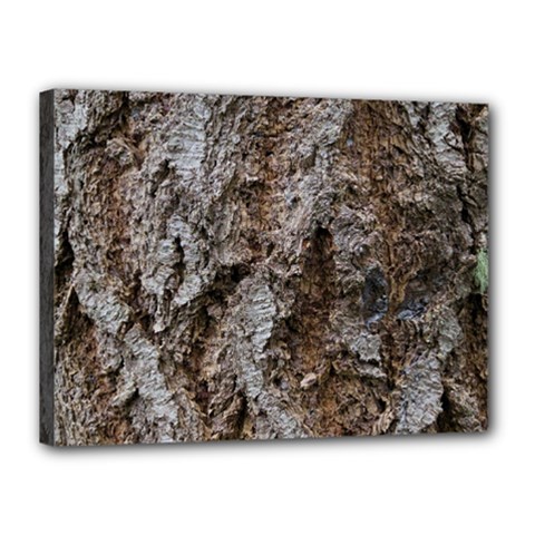 Douglas Fir Bark Canvas 16  X 12  by trendistuff