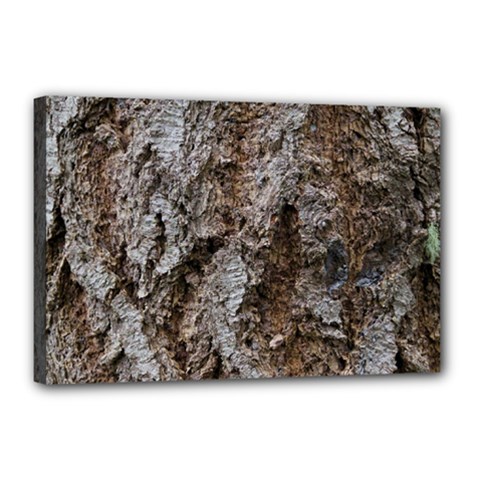 Douglas Fir Bark Canvas 18  X 12 