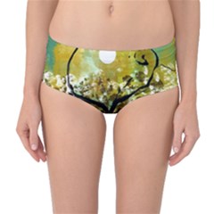 Mid-waist Bikini Bottoms