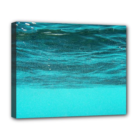 Underwater World Deluxe Canvas 20  X 16   by trendistuff