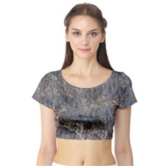 Rusty Stone Short Sleeve Crop Top