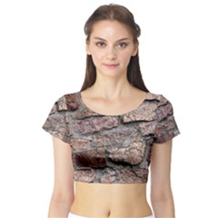 Cemented Rocks Short Sleeve Crop Top