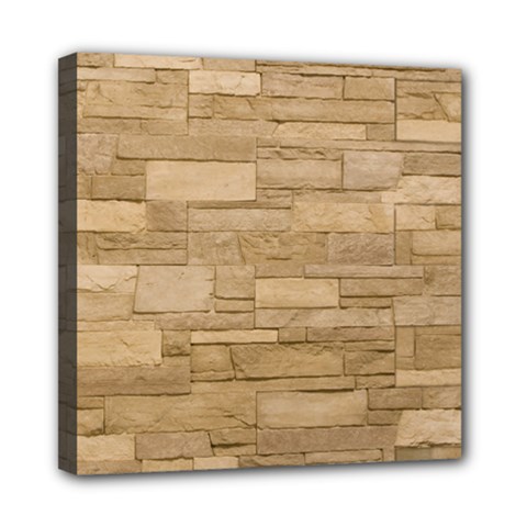 Block Wall 2 Mini Canvas 8  X 8  by trendistuff