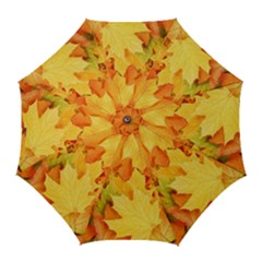 Yellow Maple Leaves Golf Umbrellas