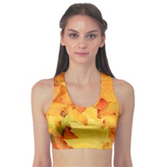 Yellow Maple Leaves Sports Bra by trendistuff