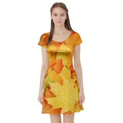 Yellow Maple Leaves Short Sleeve Skater Dresses by trendistuff