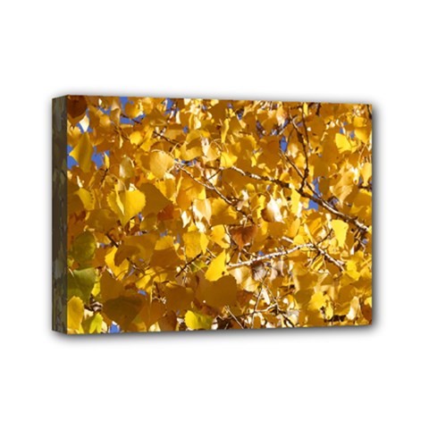 Yellow Leaves Mini Canvas 7  X 5 