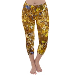 Yellow Leaves Capri Winter Leggings  by trendistuff