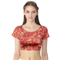 Red Maple Leaves Short Sleeve Crop Top