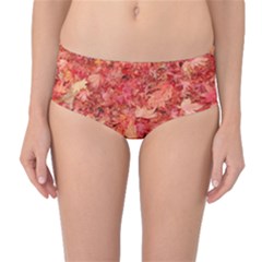 Mid-waist Bikini Bottoms