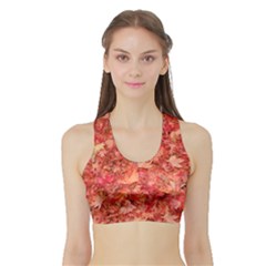 Women s Sports Bra With Border