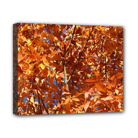 Orange Leaves Canvas 10  X 8 