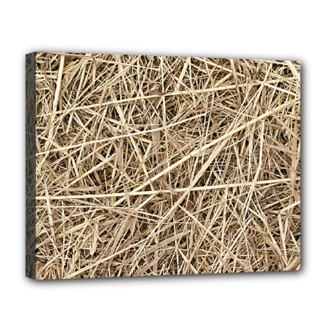 Light Colored Straw Canvas 14  X 11  by trendistuff