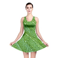 Green Leaf Drops Reversible Skater Dresses