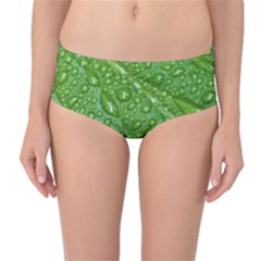 Mid-waist Bikini Bottoms