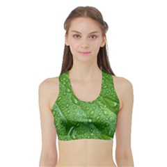 Women s Sports Bra With Border