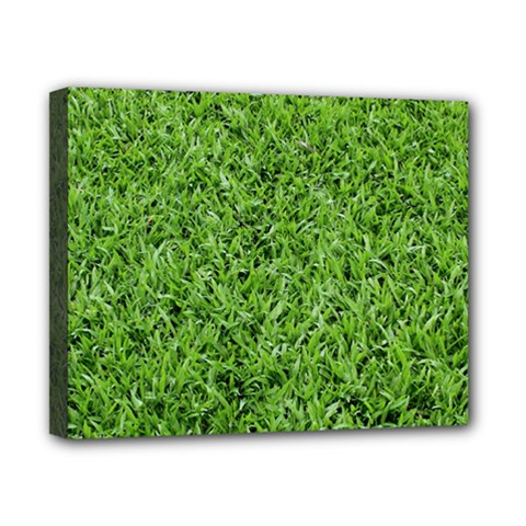 Green Grass 2 Canvas 10  X 8 