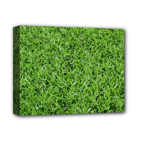 Green Grass 2 Deluxe Canvas 14  X 11  by trendistuff