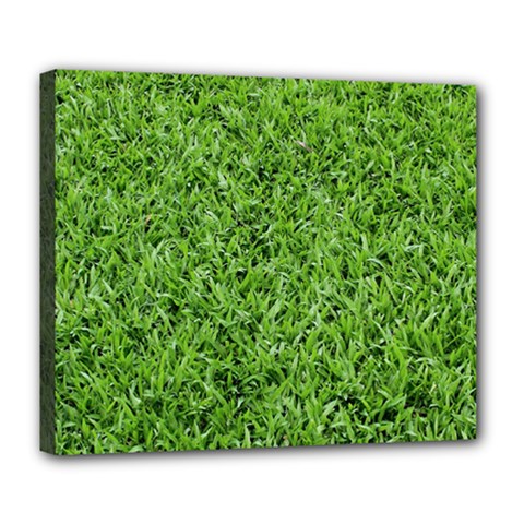 Green Grass 2 Deluxe Canvas 24  X 20   by trendistuff