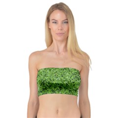 Green Grass 2 Women s Bandeau Tops