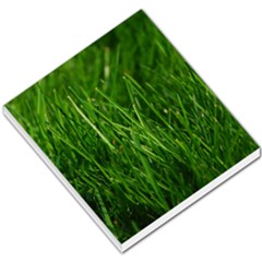 Green Grass 1 Small Memo Pads by trendistuff