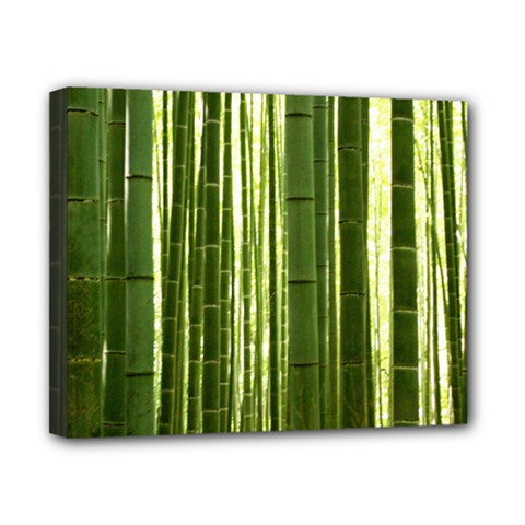 Bamboo Grove 2 Canvas 10  X 8 