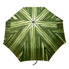 Bamboo Grove 2 Folding Umbrellas